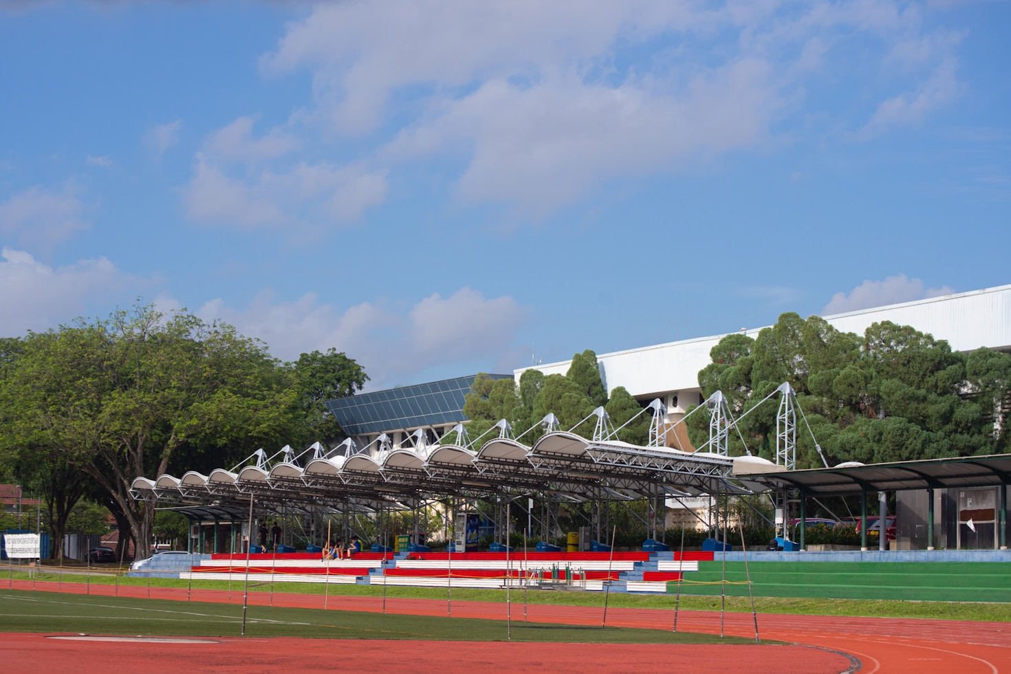 Prínosy atletiky pre rozvoj motorických schopností